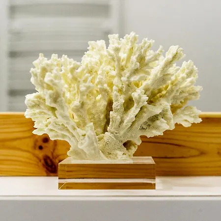 Sanhaus - Haffnera 51 - Stylowe 3 Minuty Od Plazy I Kortow Apartman